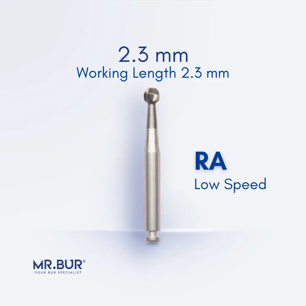 RAXL CARBIDE ROUND/ROSE HEAD