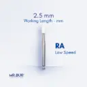 RA WHITE STONE